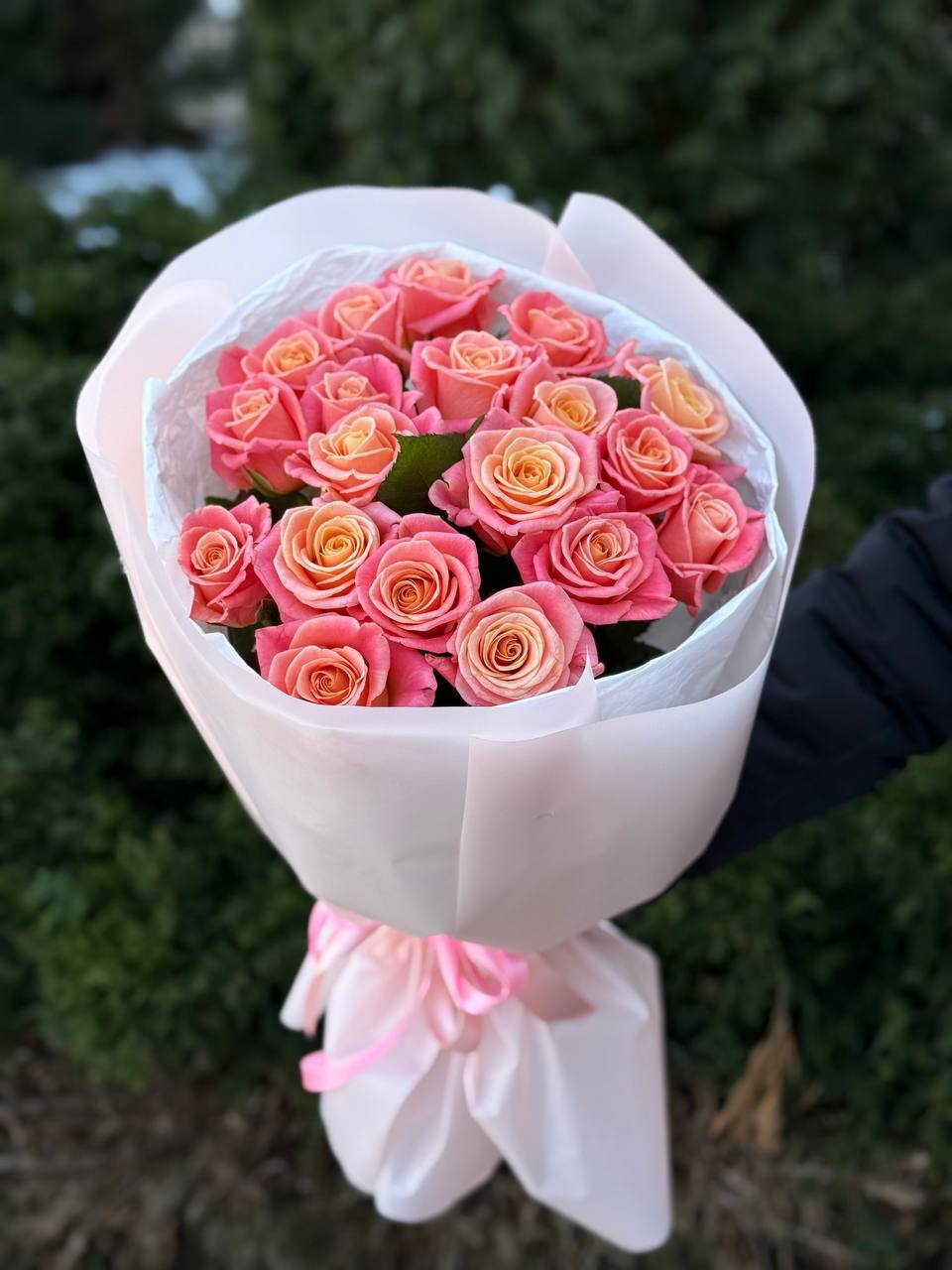 19 Rosen Sorte Miss Piggy