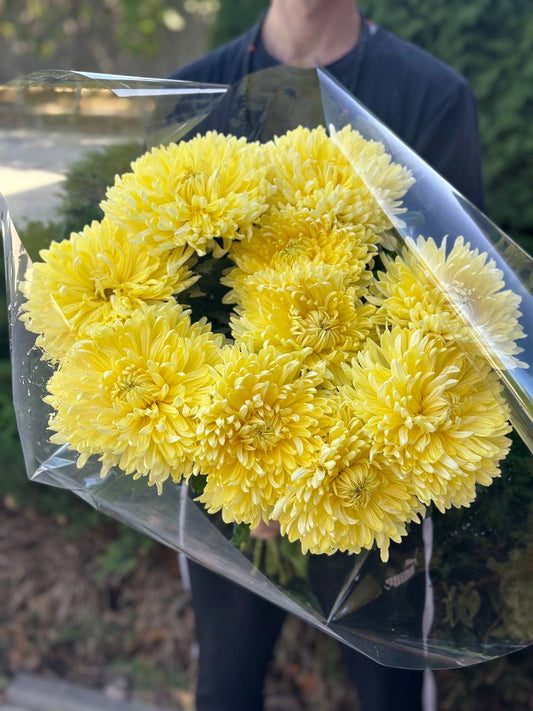 9 одноголових хризантем (колір жовтий)