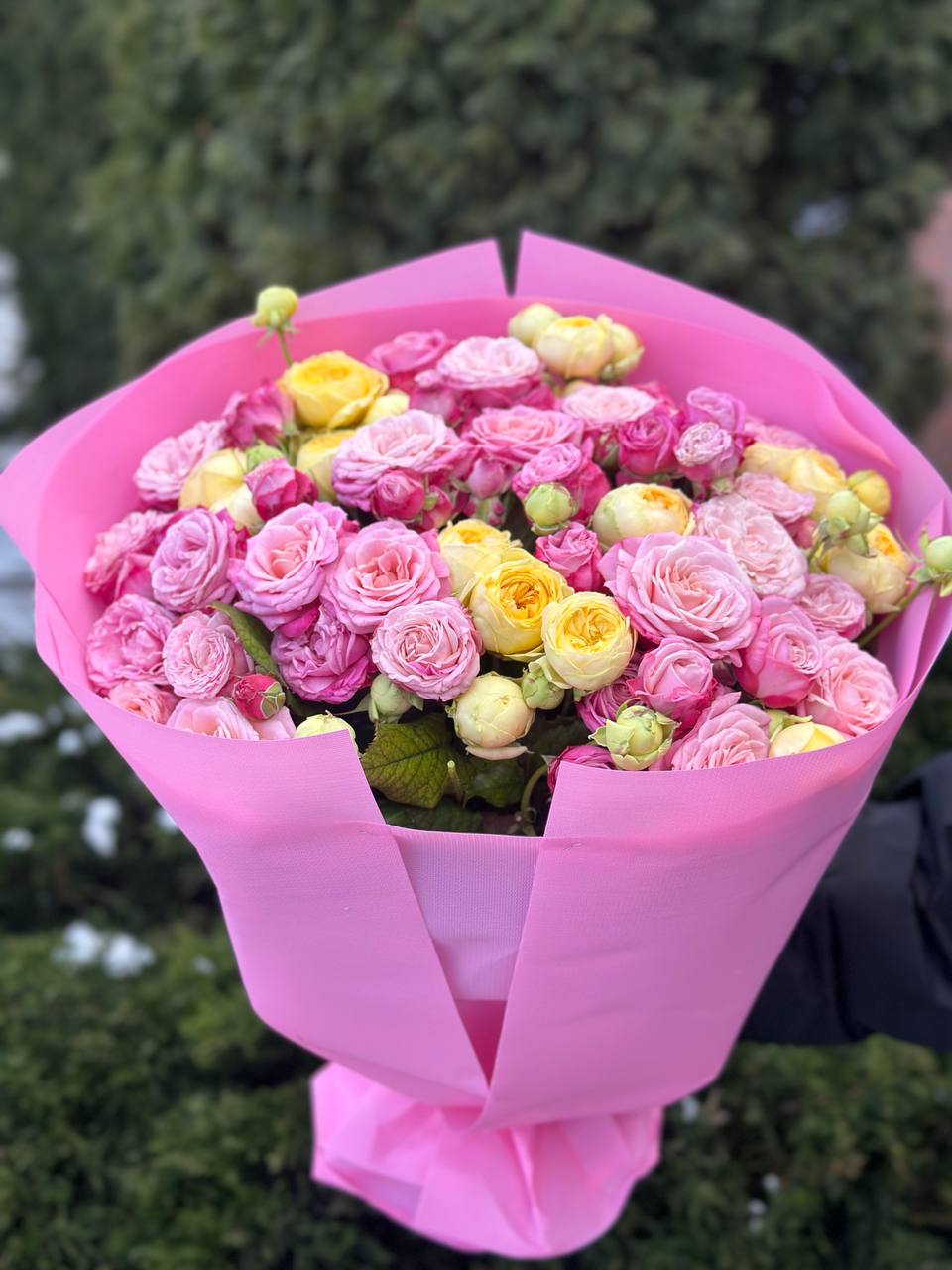 39 пионовидных роз — Pioni и Lady Bombastic