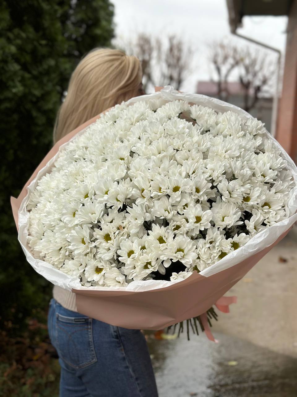 НОВОЕ УПАКОВАНИЕ 49 гилковых хризантем (сорт Білі ромашковидные)