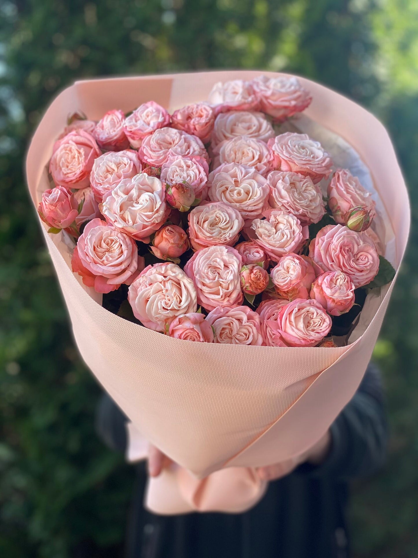 19 Strauß-Pfingstrosenrosen Sorte Madame Bombastic