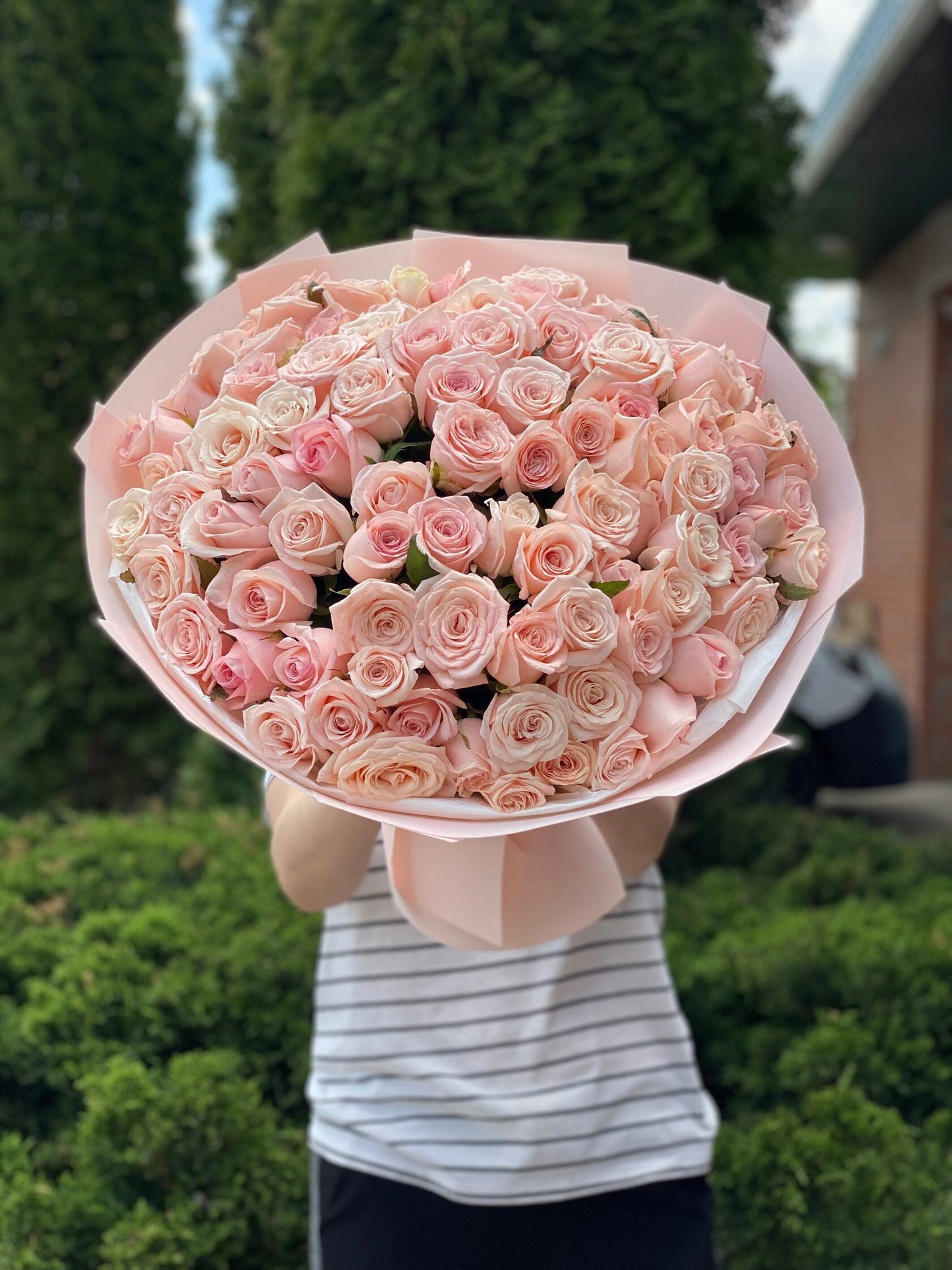 101 Rosen Sorte Kimberly