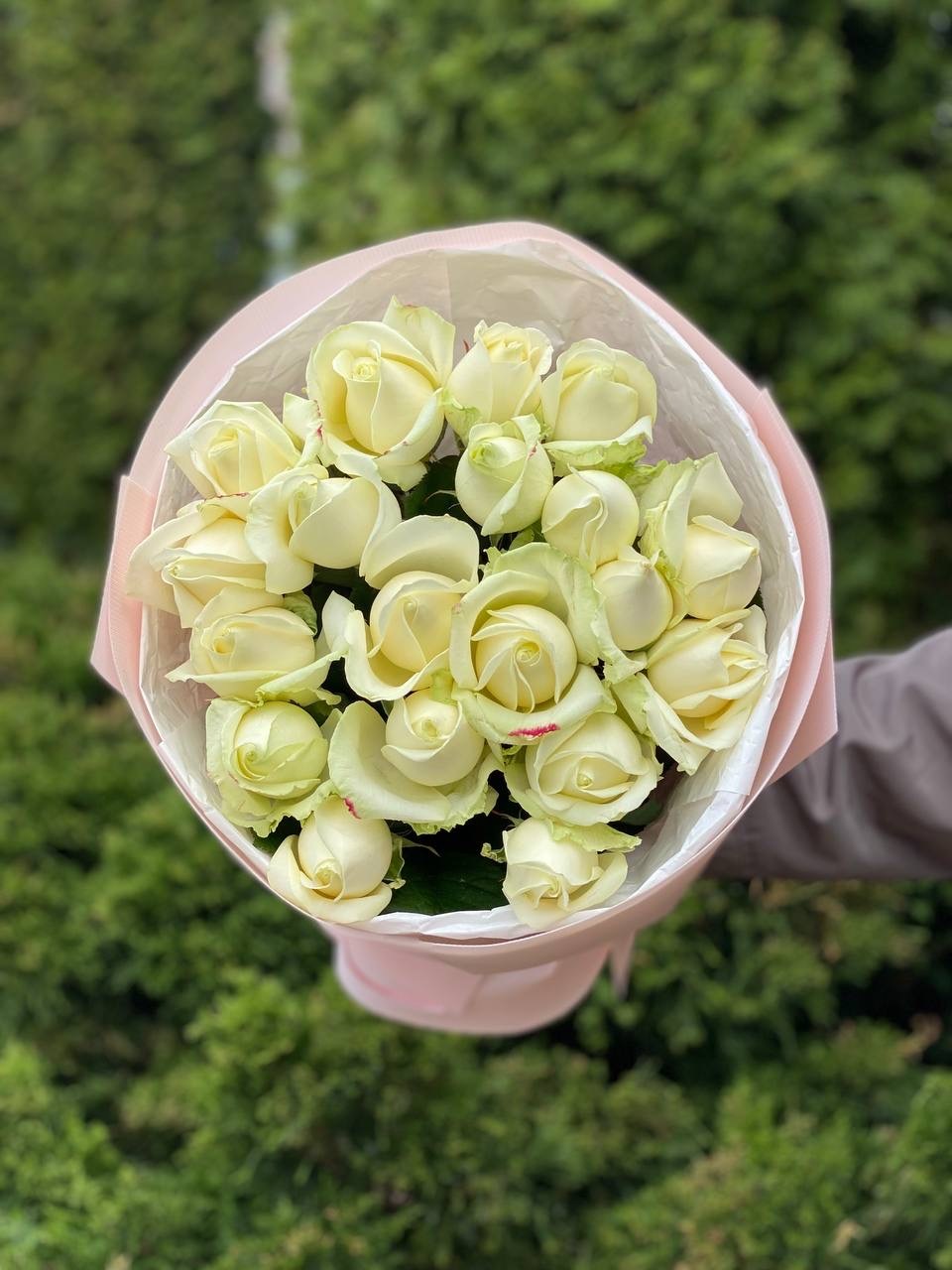 19 Rosen Sorte Avalanche