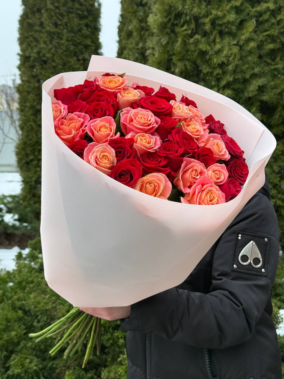 39 роз — Мисс Пигги и Красный Орел