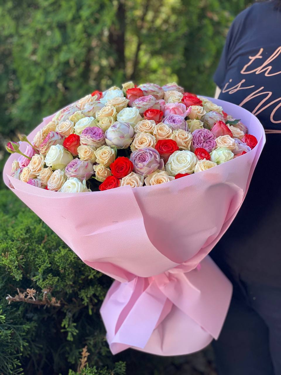 101 Pfingstrosenartige Rosen (Miss Bombastic, Bombastic, Lavendel und Orange)