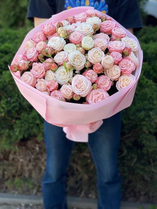 39 róż — Prince Bombastic i Bombastic