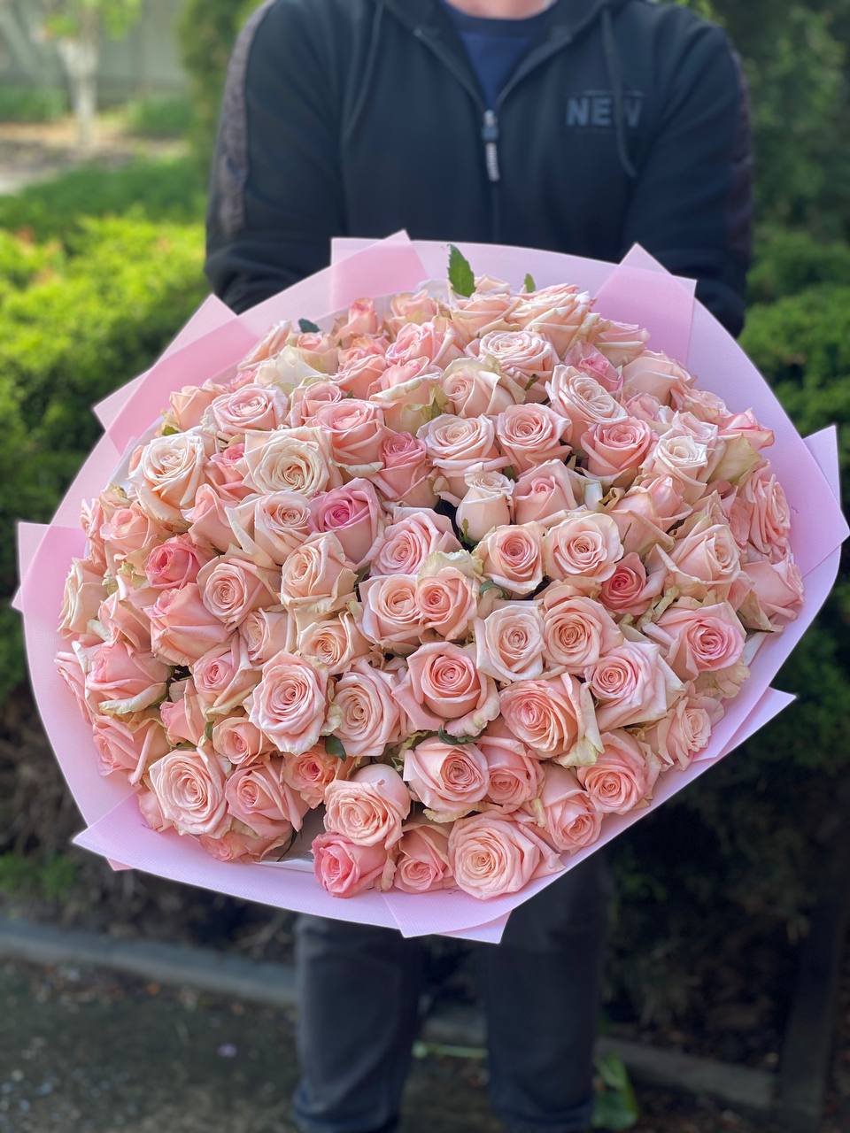 101 Rosen Sorte Kimberly