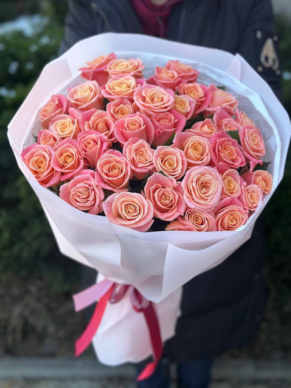 39 роз Мисс Пигги