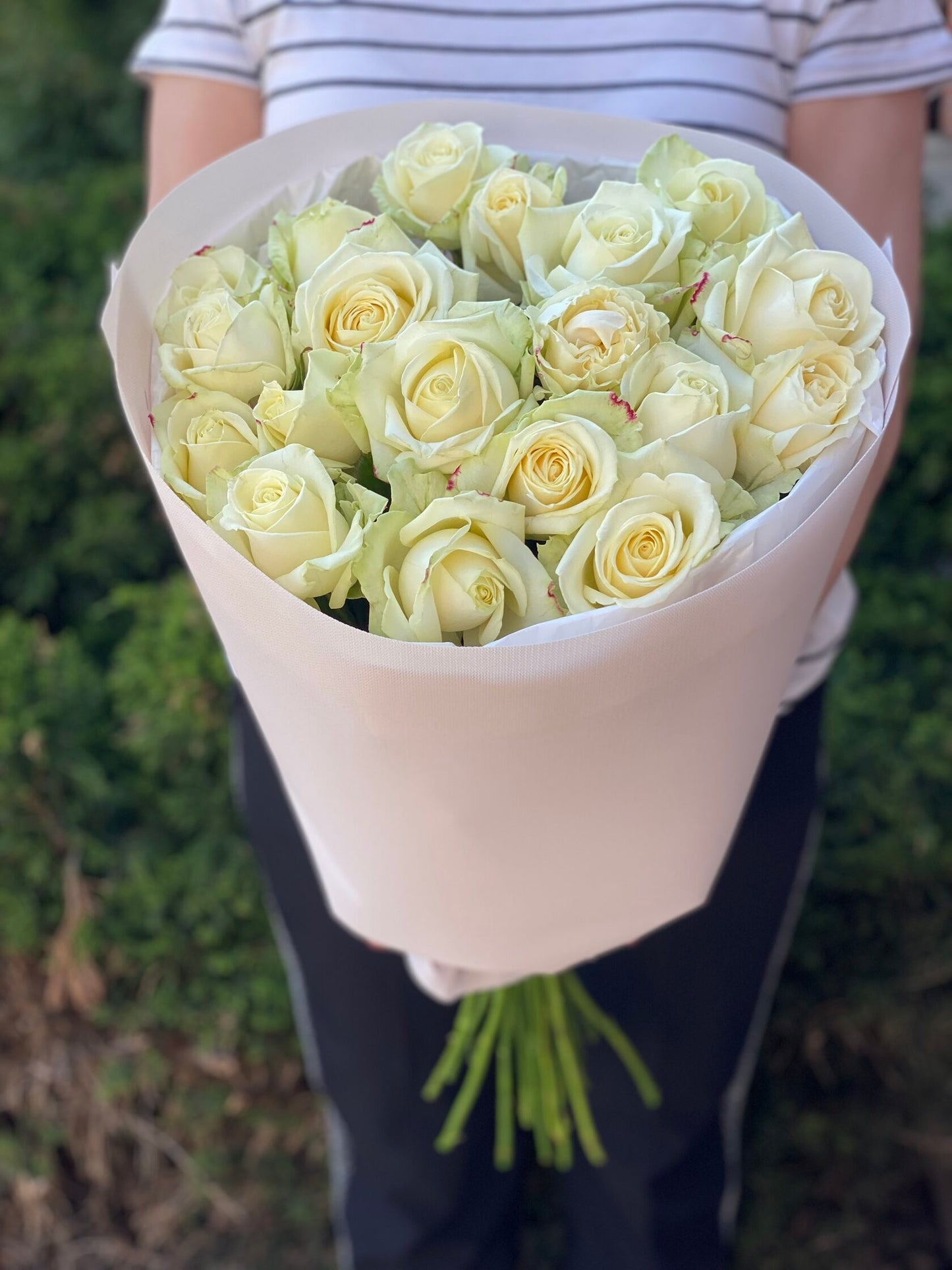 19 Rosen Sorte Avalanche