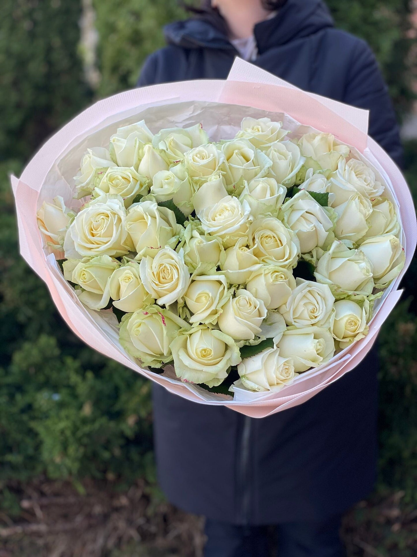 39 роз сорта «Аваланж»