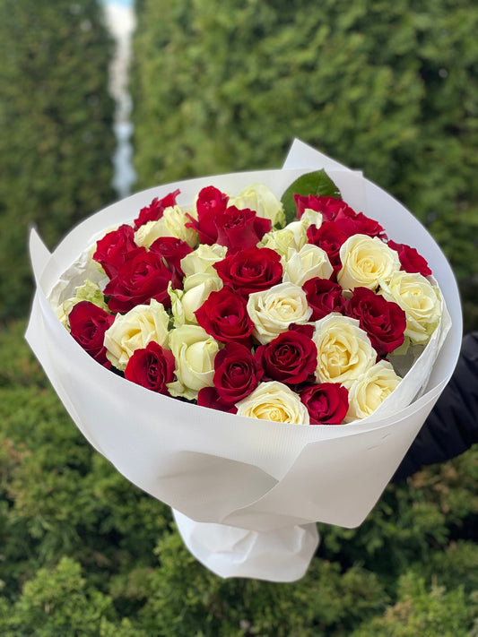 39 róż odmiany Grand Prix i Avalanche