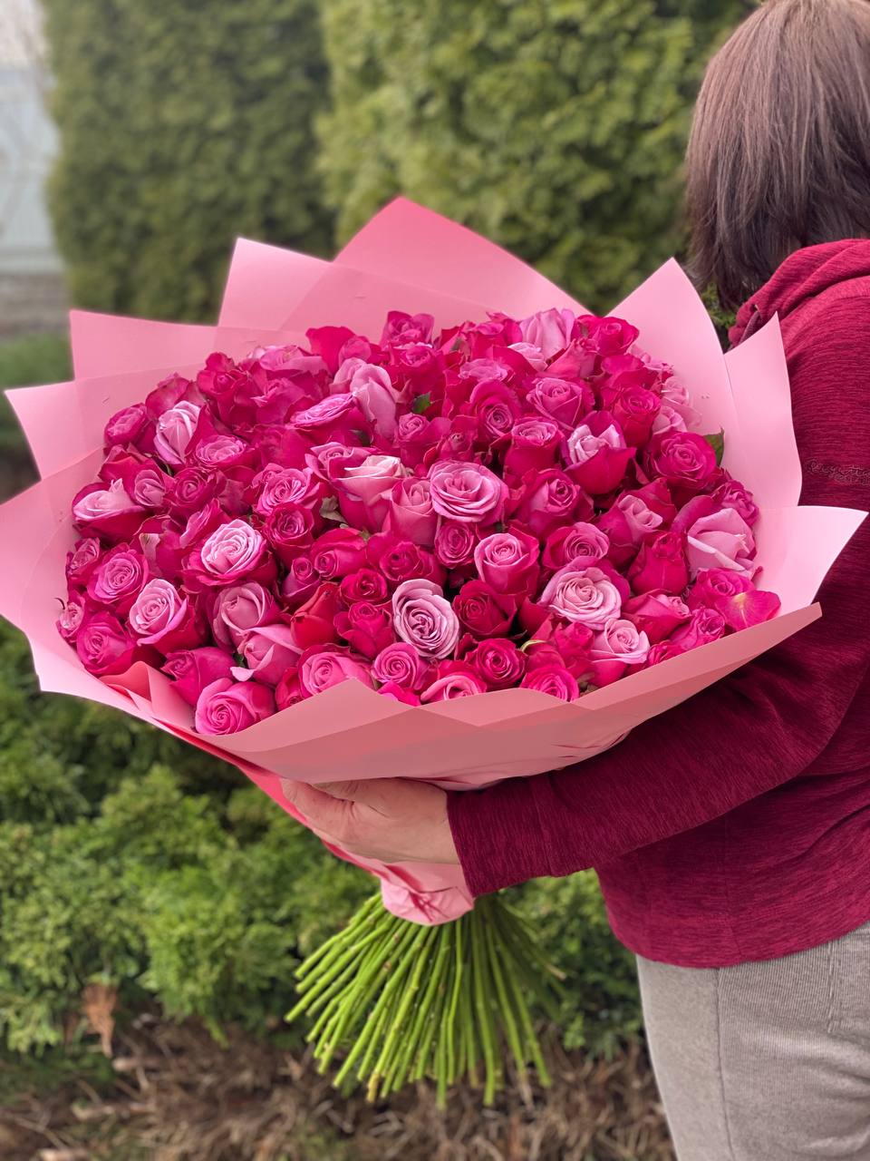 101 Rosen Sorte Prinz von Persien