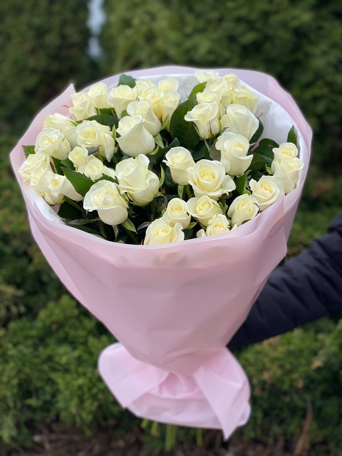 39 роз Белуга