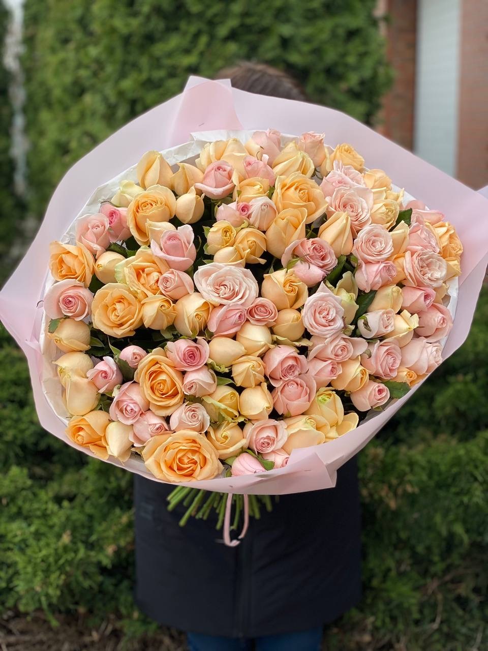 101 Rosen der Sorten Peach Avalanche und Kimberley