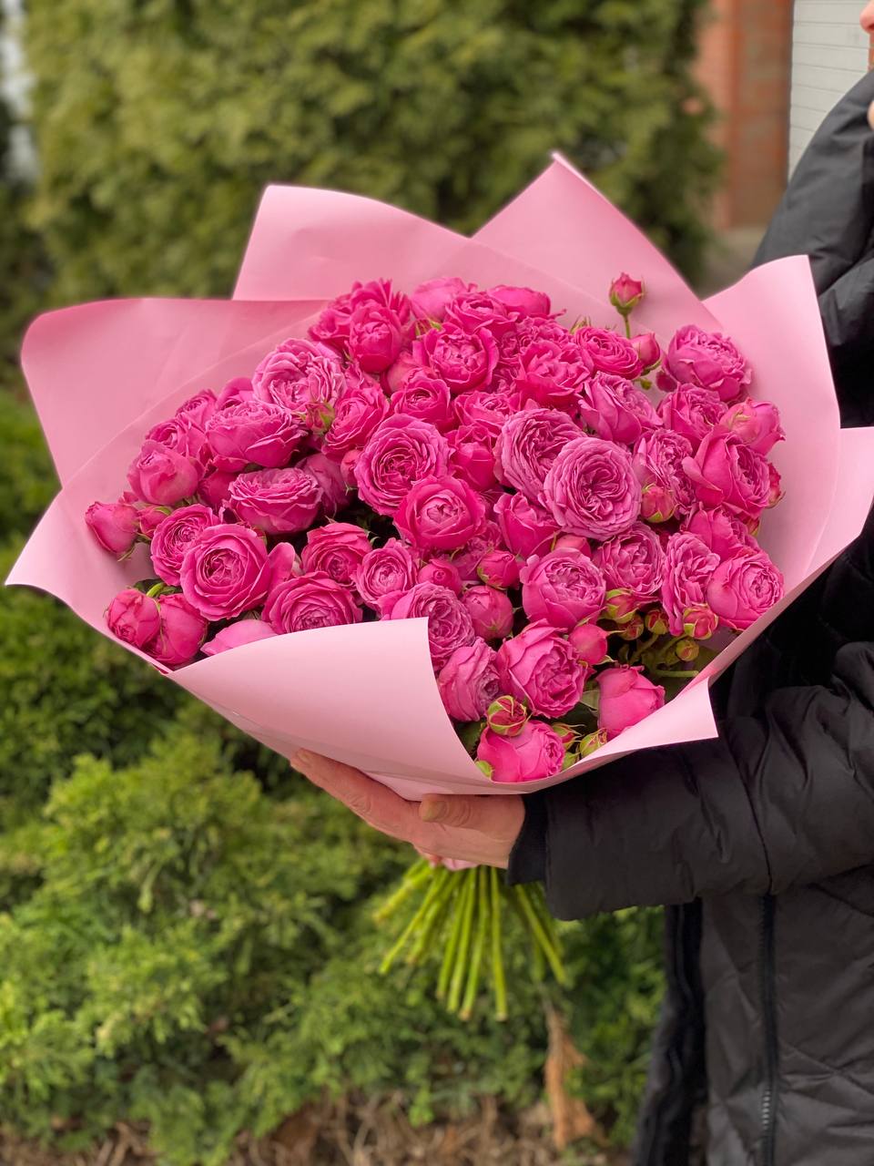 39 пионовидных веток роз сорта LavenderLace