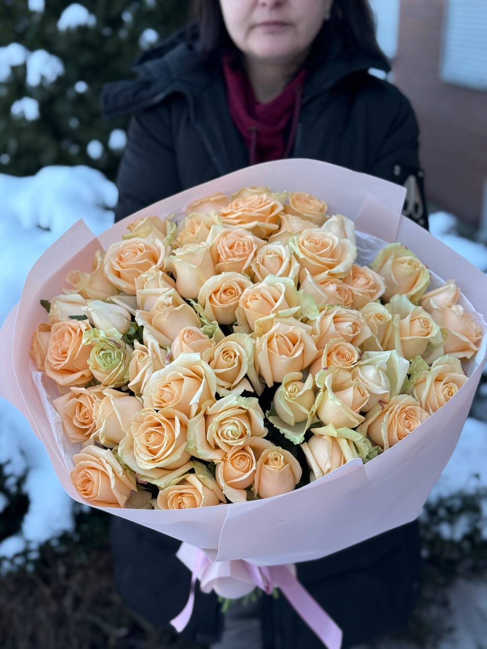 51 Rosen der Sorte Peach Avalanche