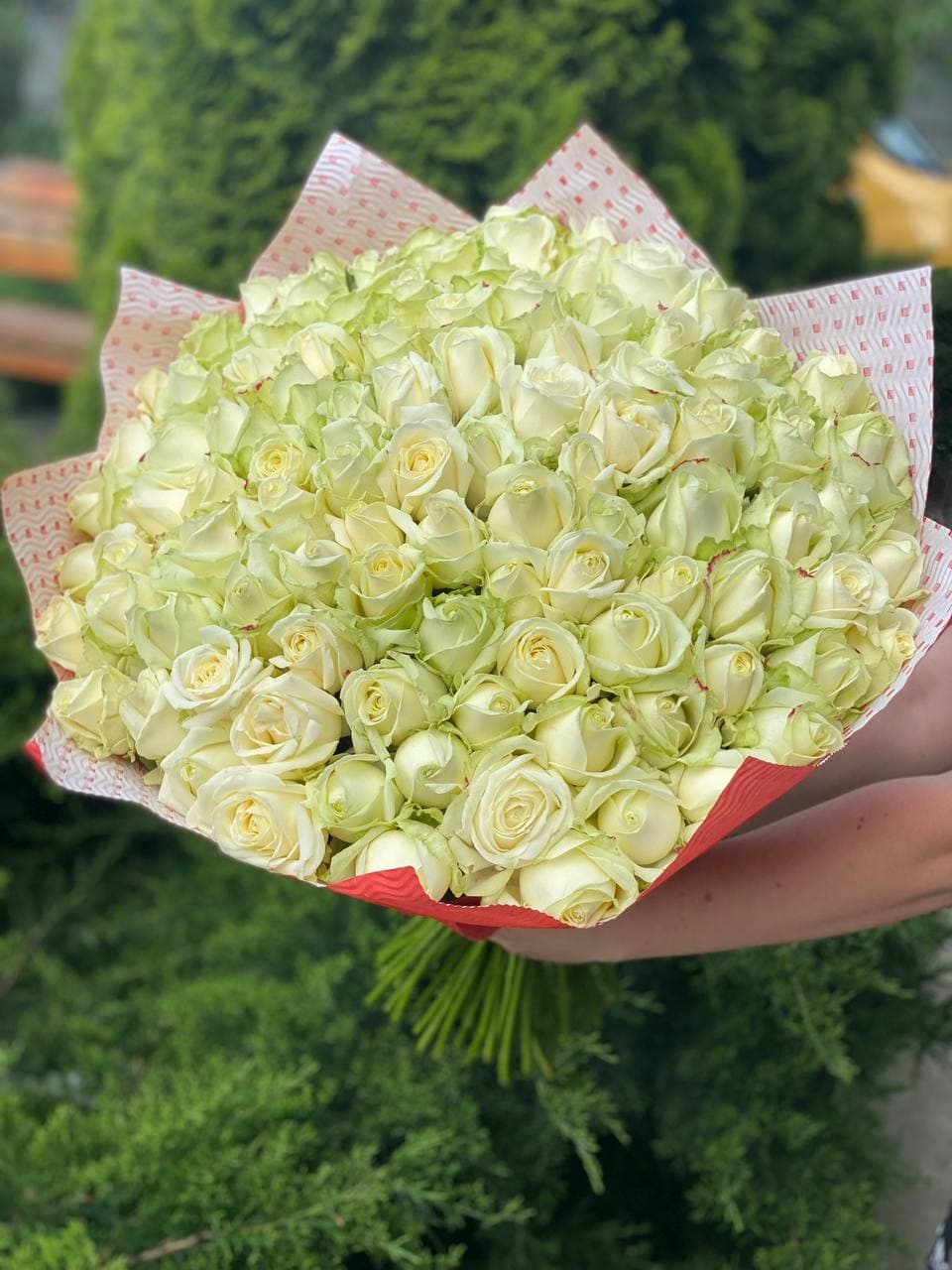 101 Rosen Sorte Avalanche