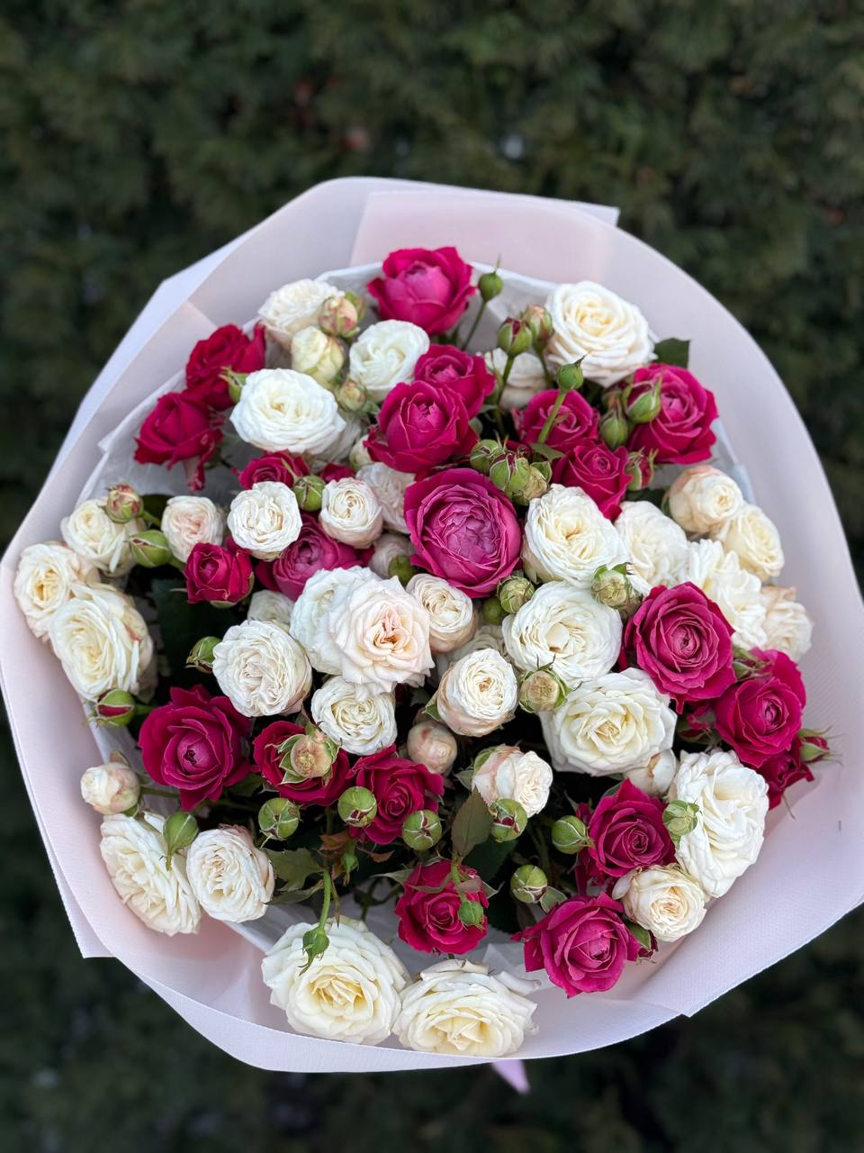 39 роз — Bombastic and Majestic