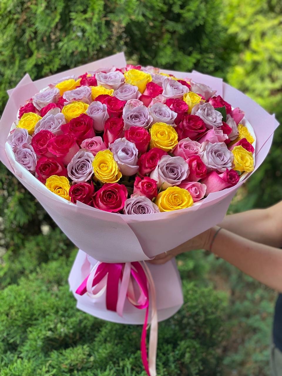 101 Rosen – Niederländische Mischung