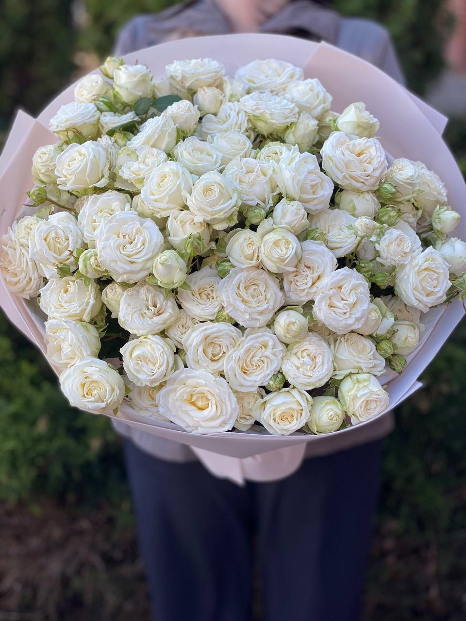 39 пионовидных веток роз сорта «Мисс Бомбастик»