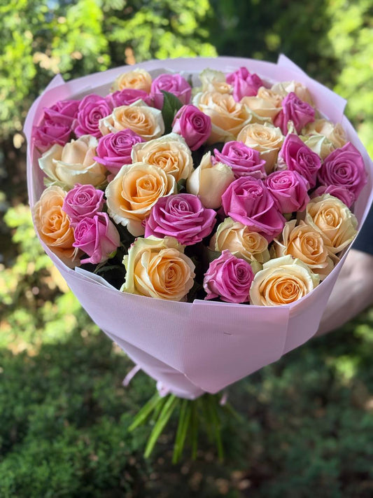 39 róż odmiany Aqua i Peach