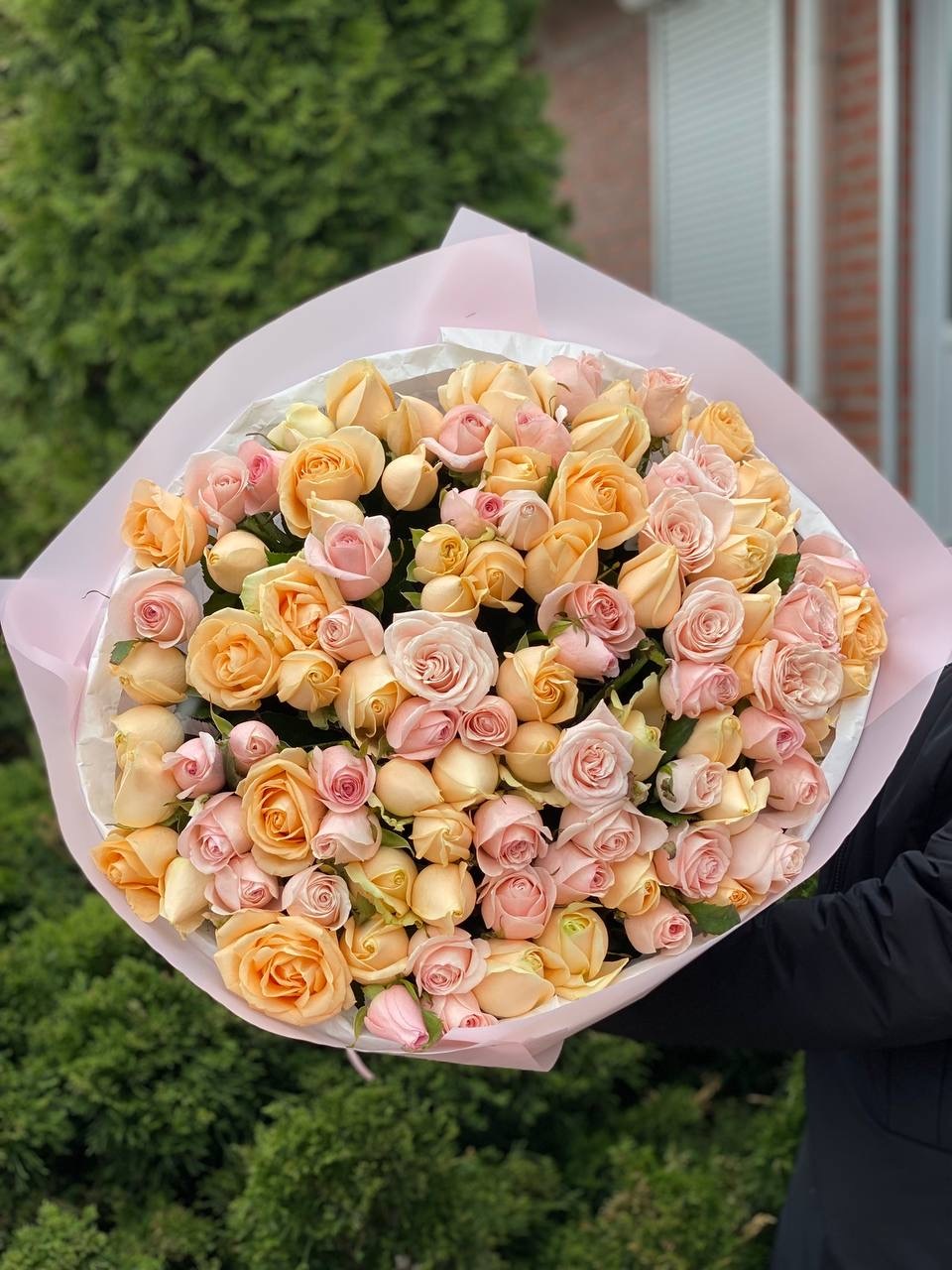 101 Rosen der Sorten Peach Avalanche und Kimberley