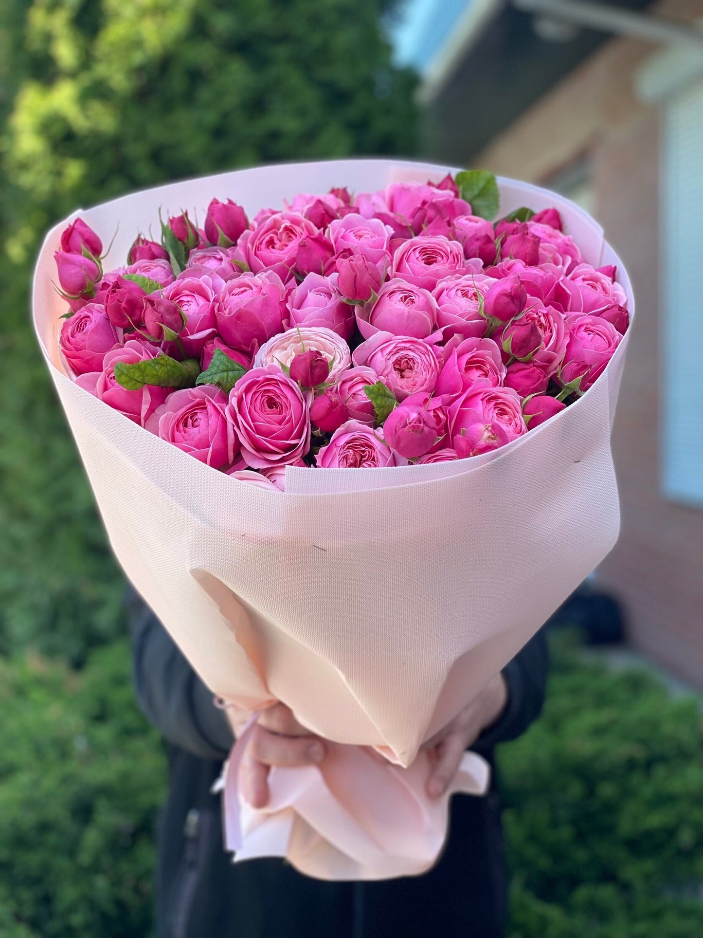 39 пионовидных роз сорта LavenderLace Light