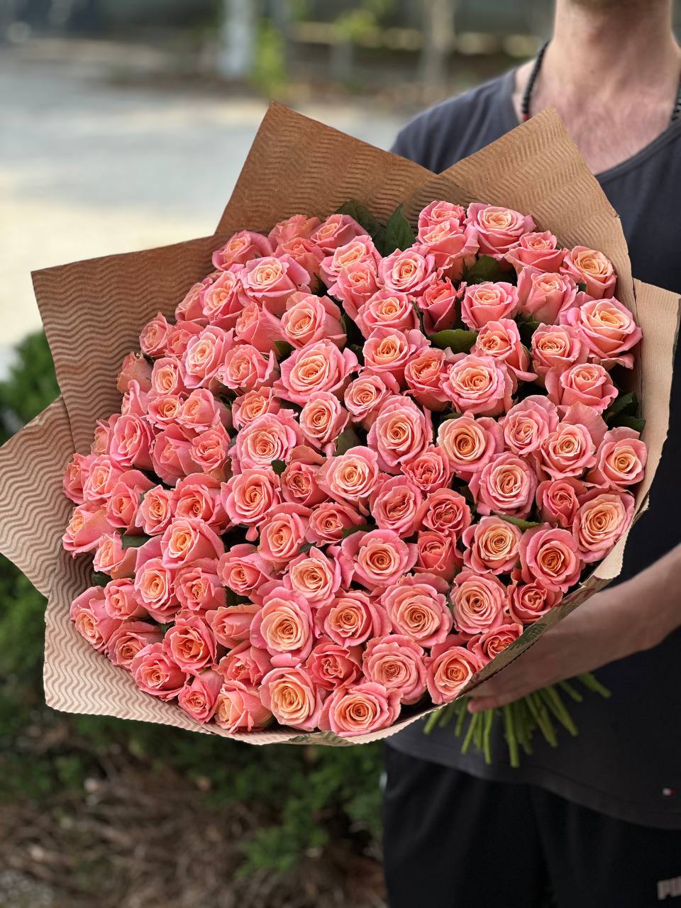 101 Rosen Sorte Miss Piggy