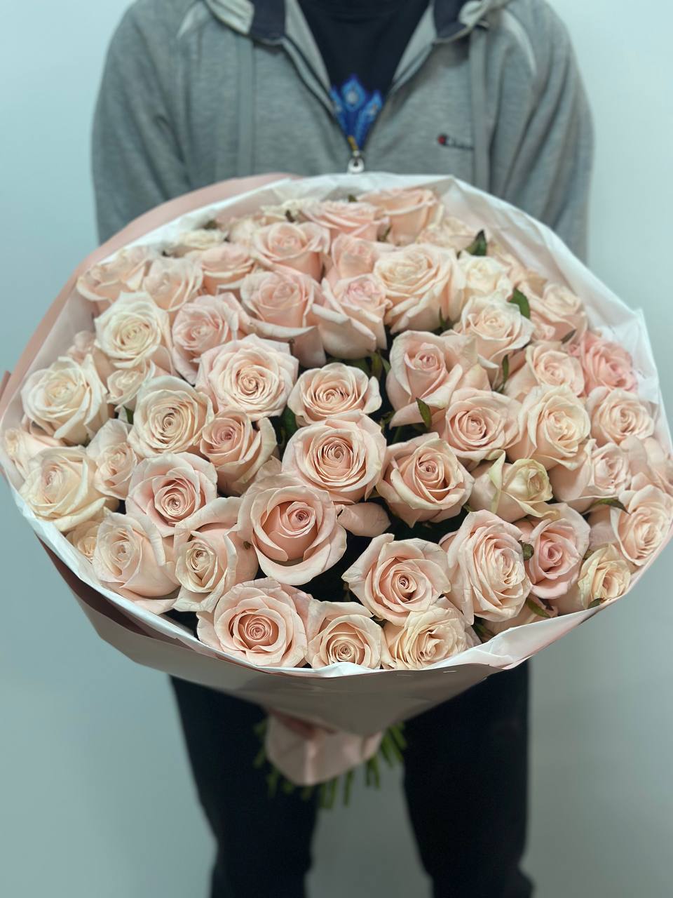 51 Rosen der Sorte Kimberly