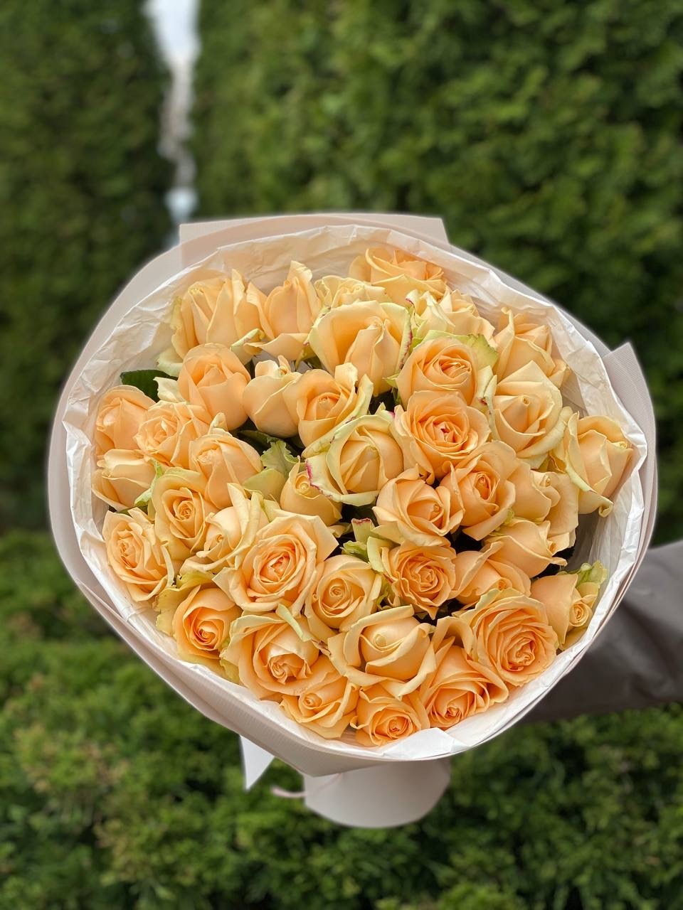 39 роз сорта «Персиковая Аваланж»