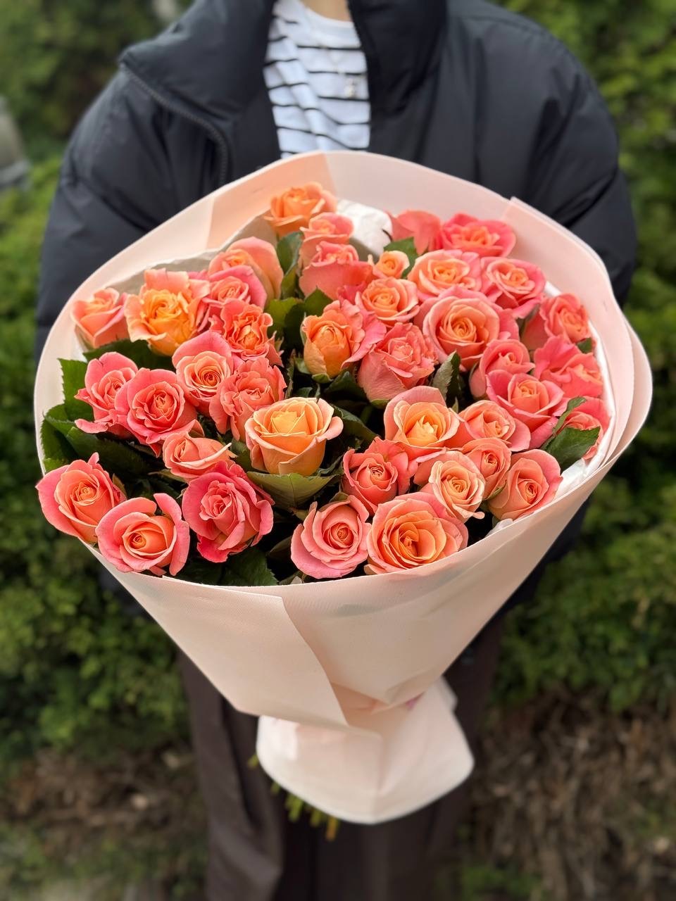 39 роз Мисс Пигги