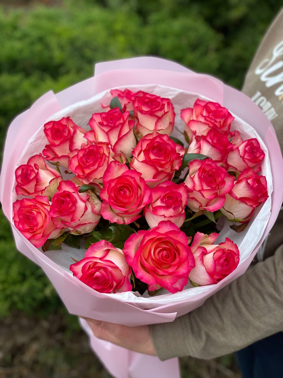 19 Rosen Sorte Jumilia