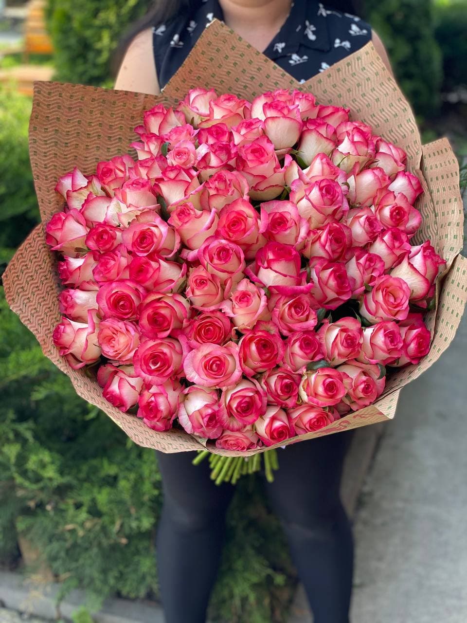 101 Rosen Sorte Jumilia