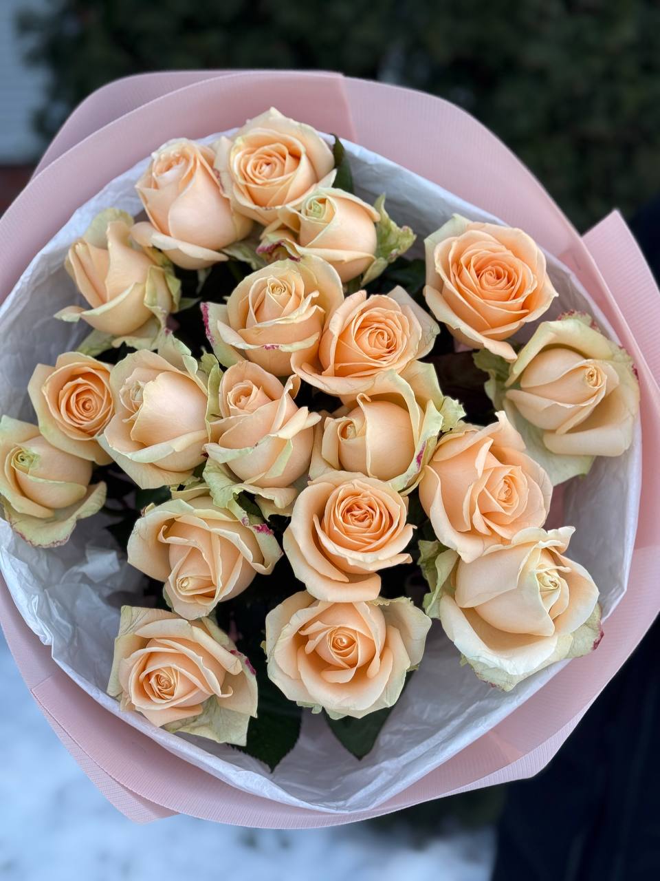 19 роз сорта «Персиковая Аваланж»
