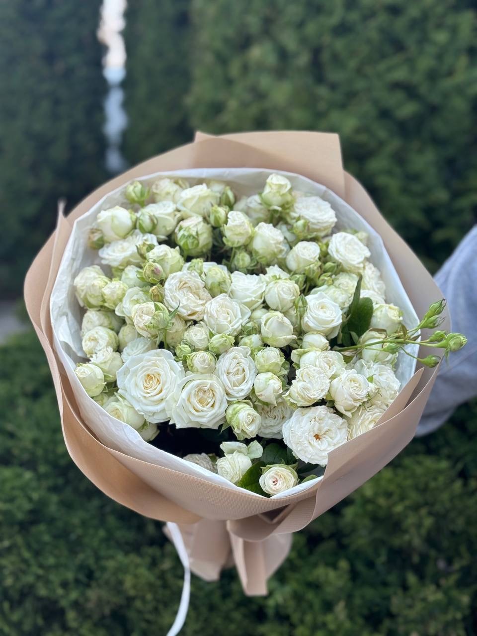 39 пионовидных веток роз сорта «Мисс Бомбастик»