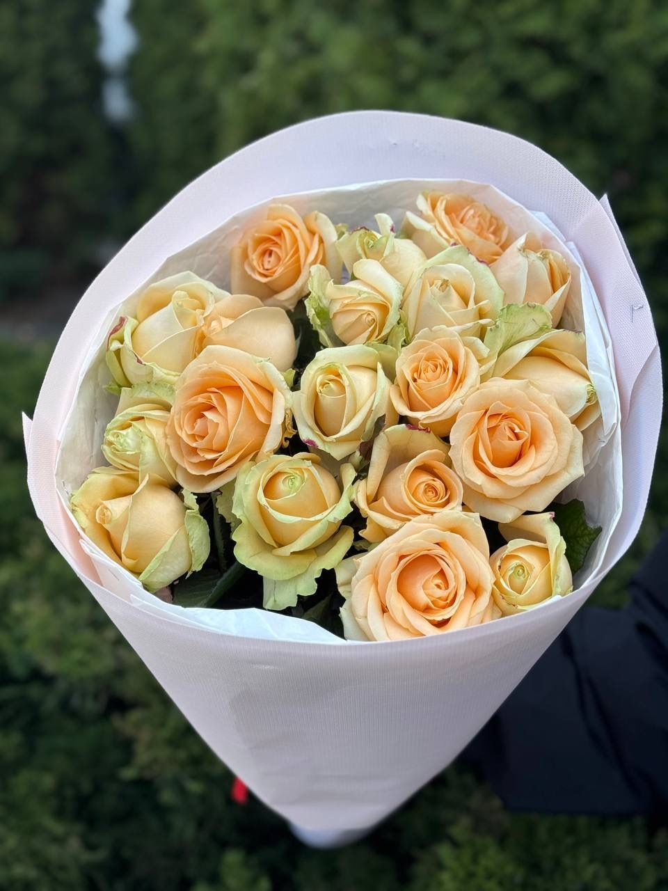 19 роз сорта «Персиковая Аваланж»