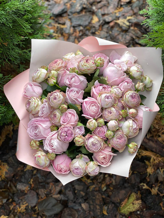 39 пионовидных роз сорта «Лаванда»