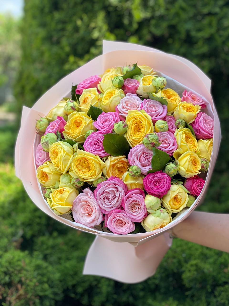 39 пионовидных роз — Pioni и Lady Bombastic