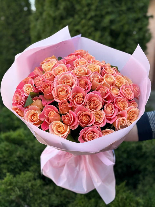 51 троянд сорт Міс Пігі