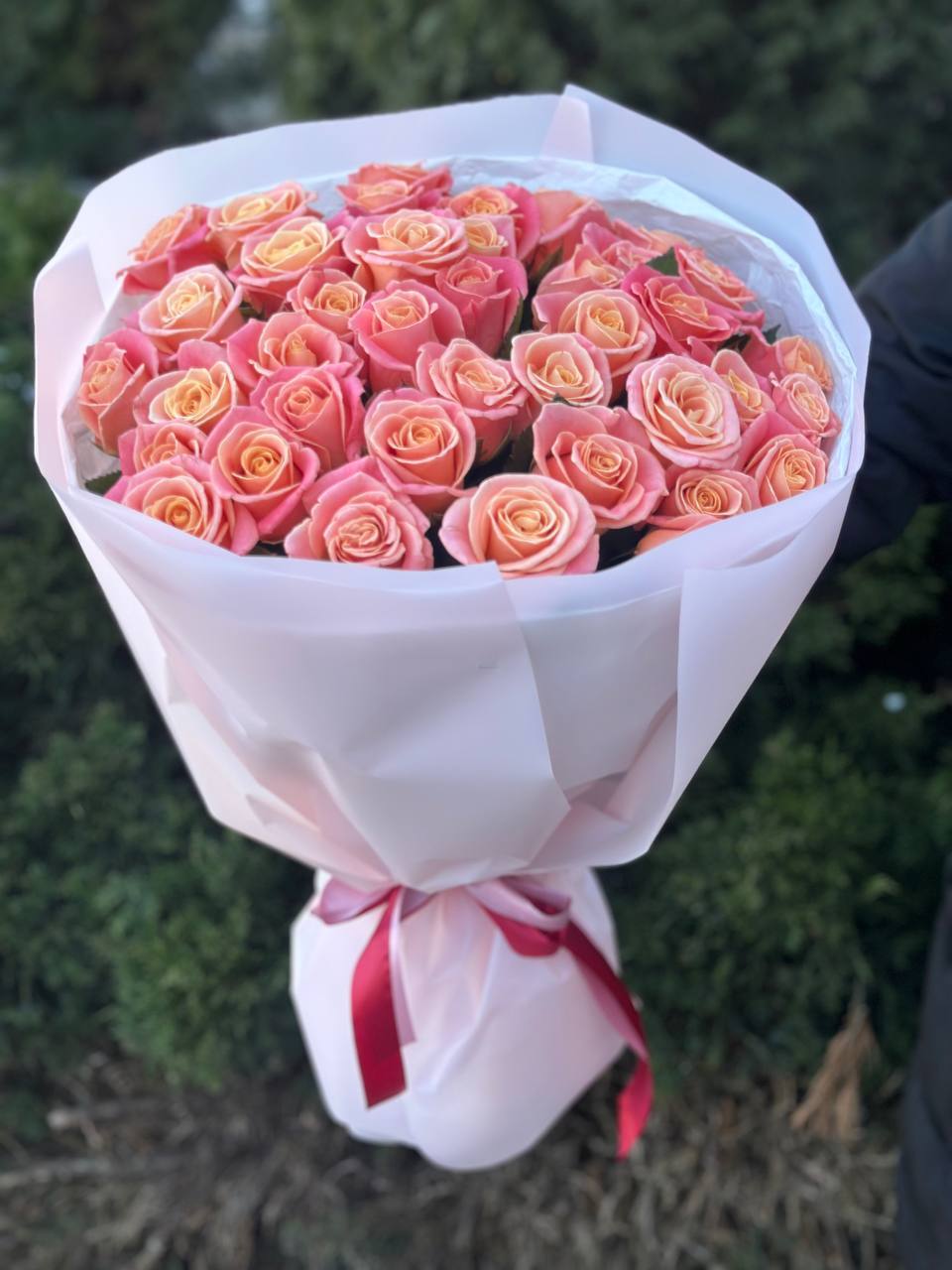 39 роз Мисс Пигги