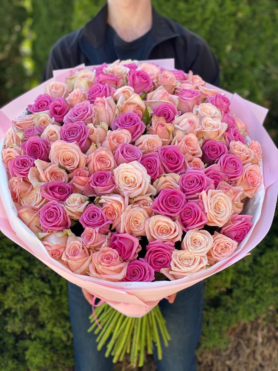101 Rosen Sorte Kimberly und Aqua