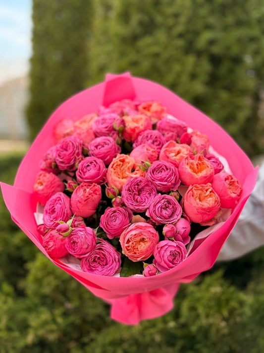 39 роз Harper и LavenderLace