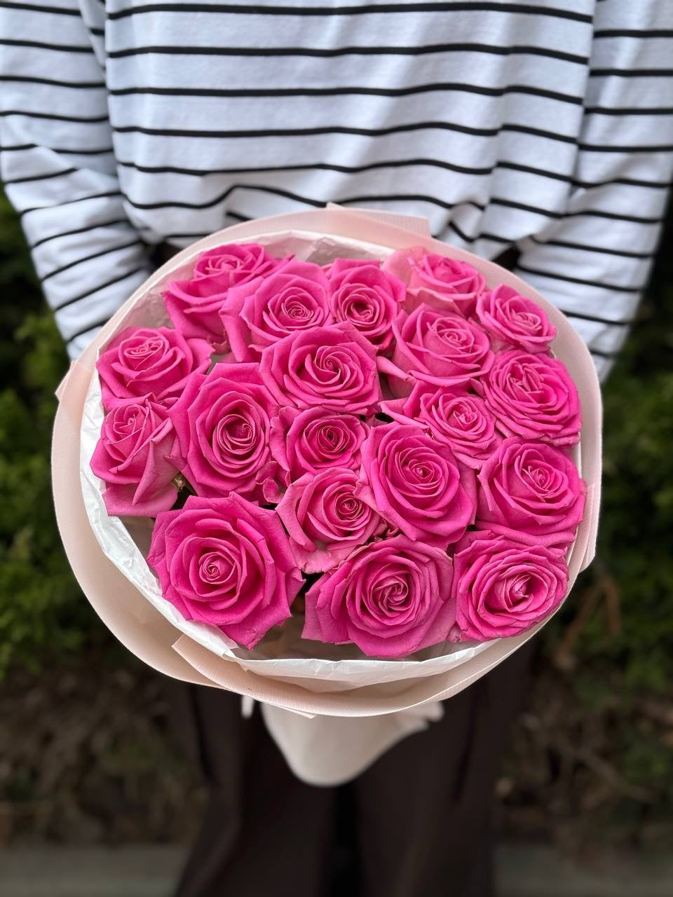 19 Rosen Sorte Aqua