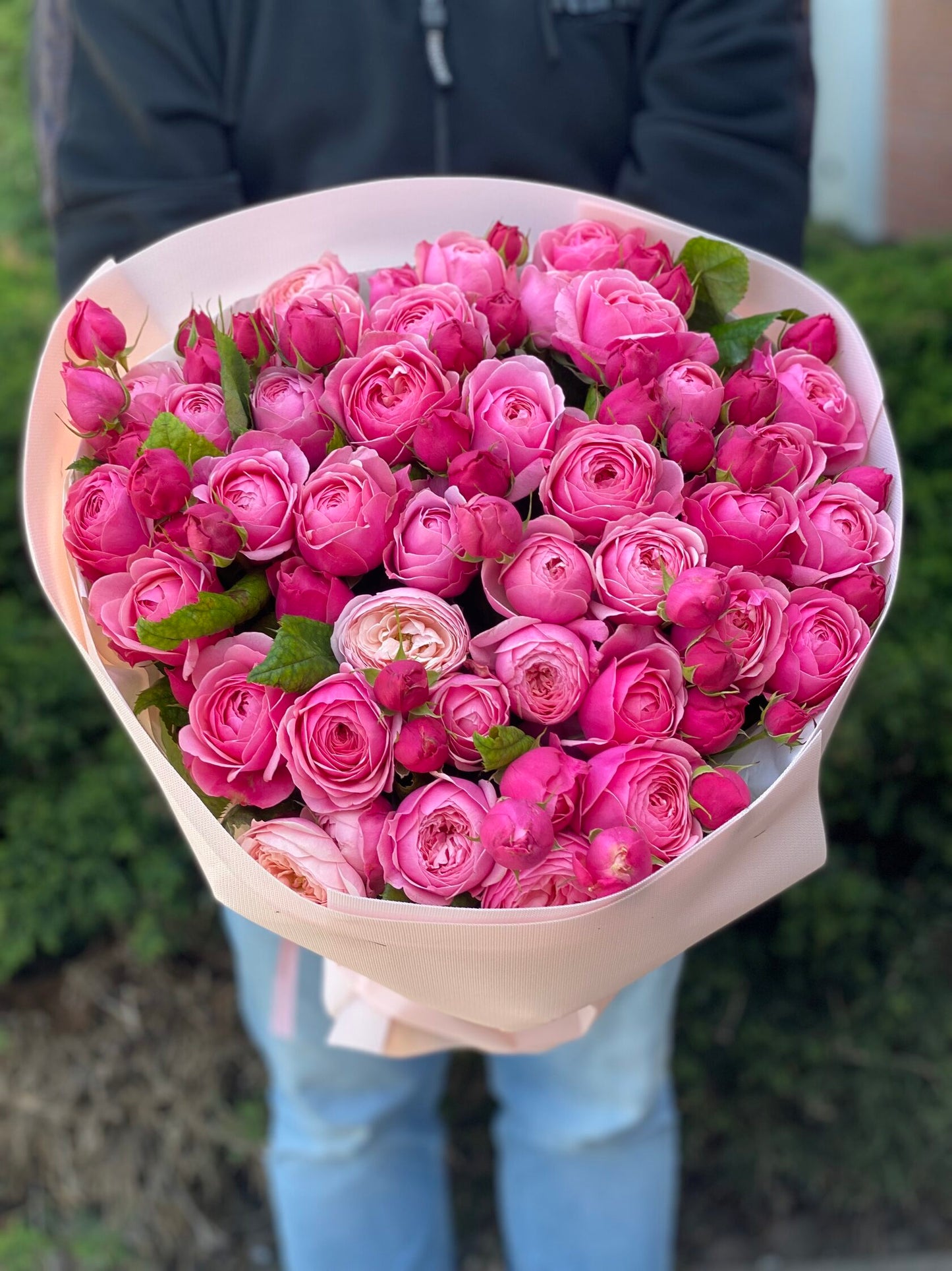 39 пионовидных роз сорта LavenderLace Light