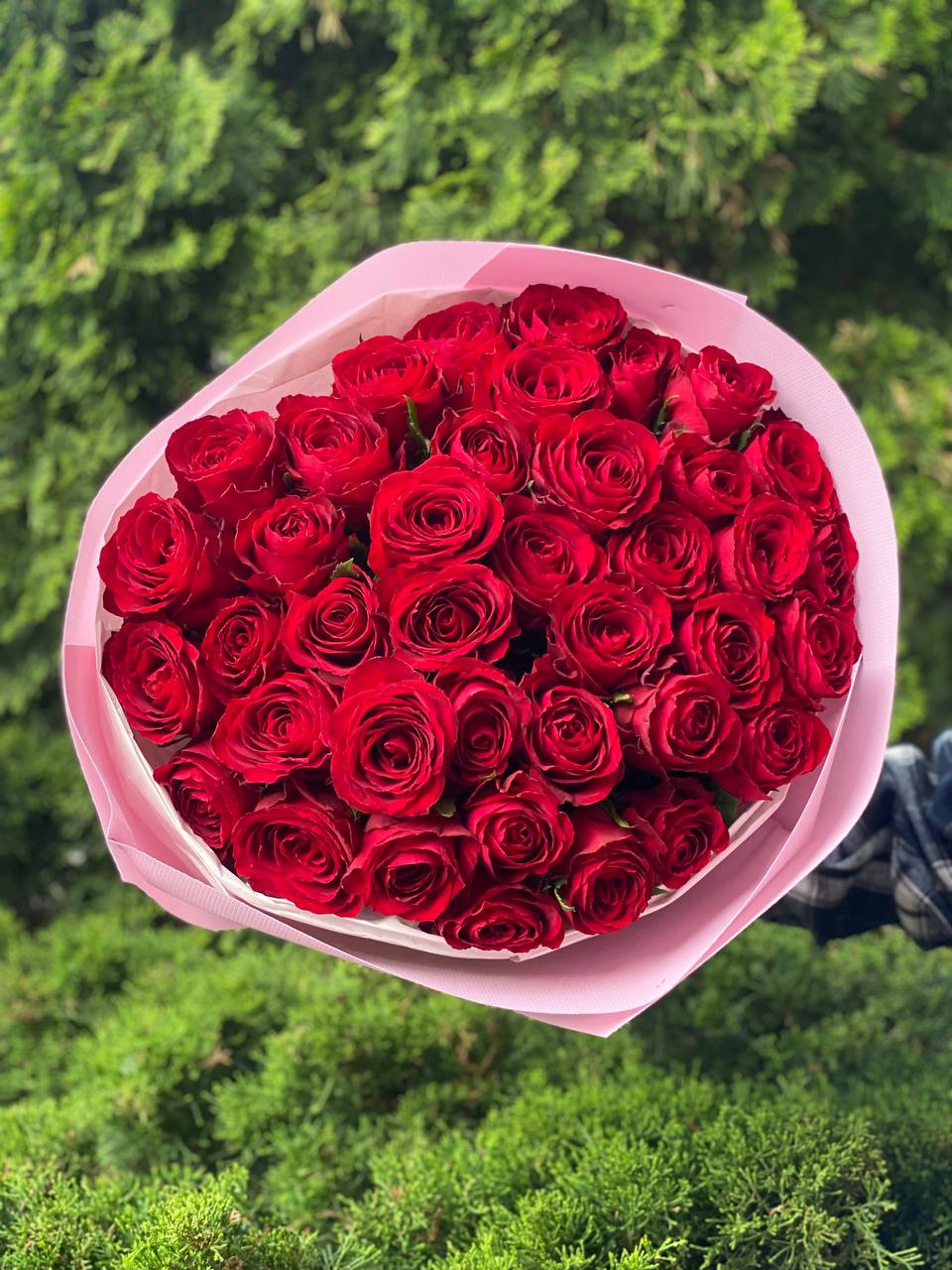 39 роз Ред Наоми