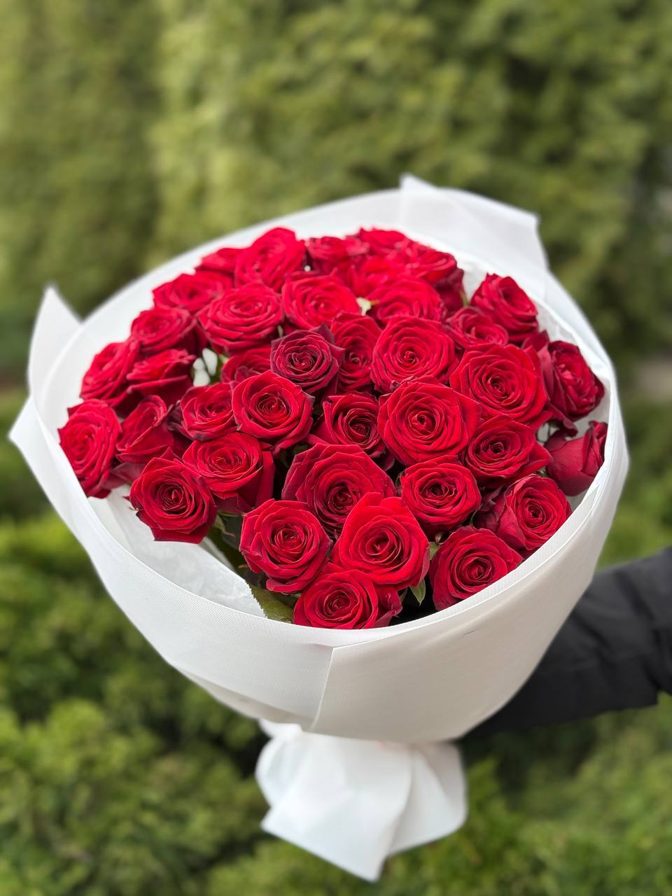 39 роз Ред Наоми