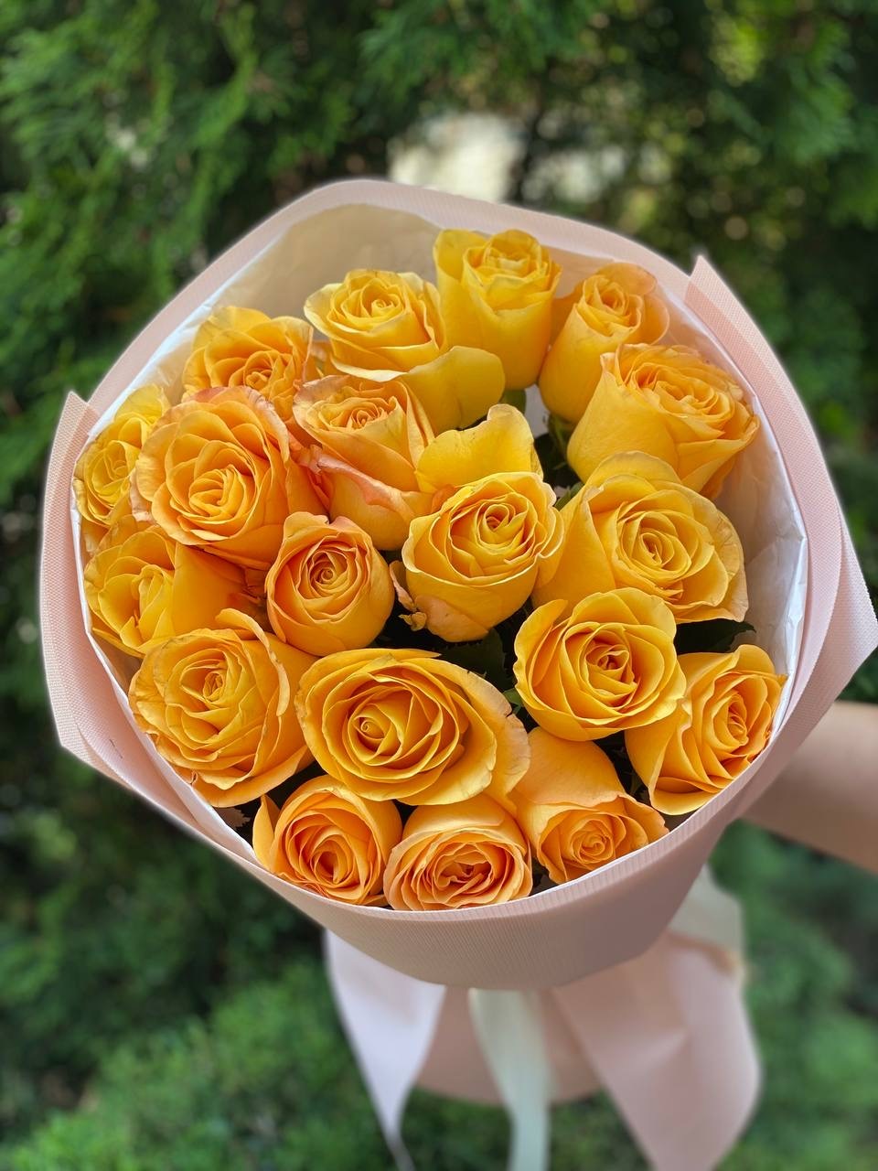 19 Rosen Sorte Penny Lane