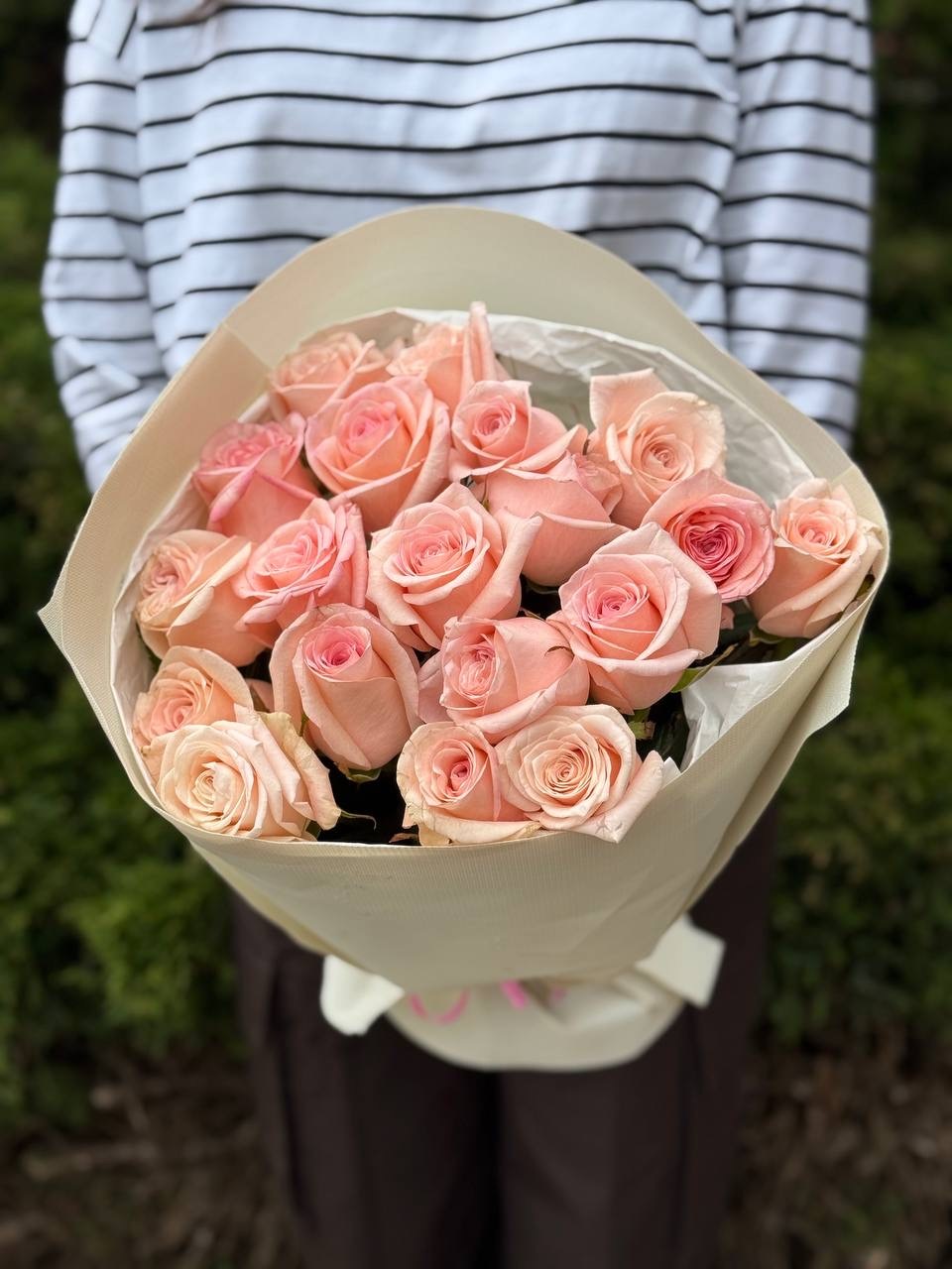 19 Rosen Sorte Kimberly