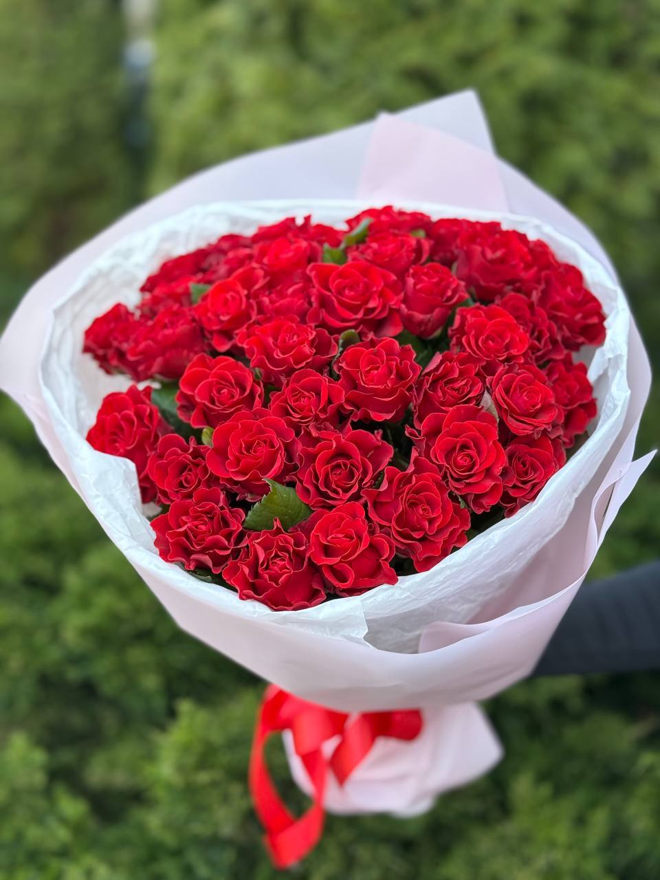 39 роз Эль Торо