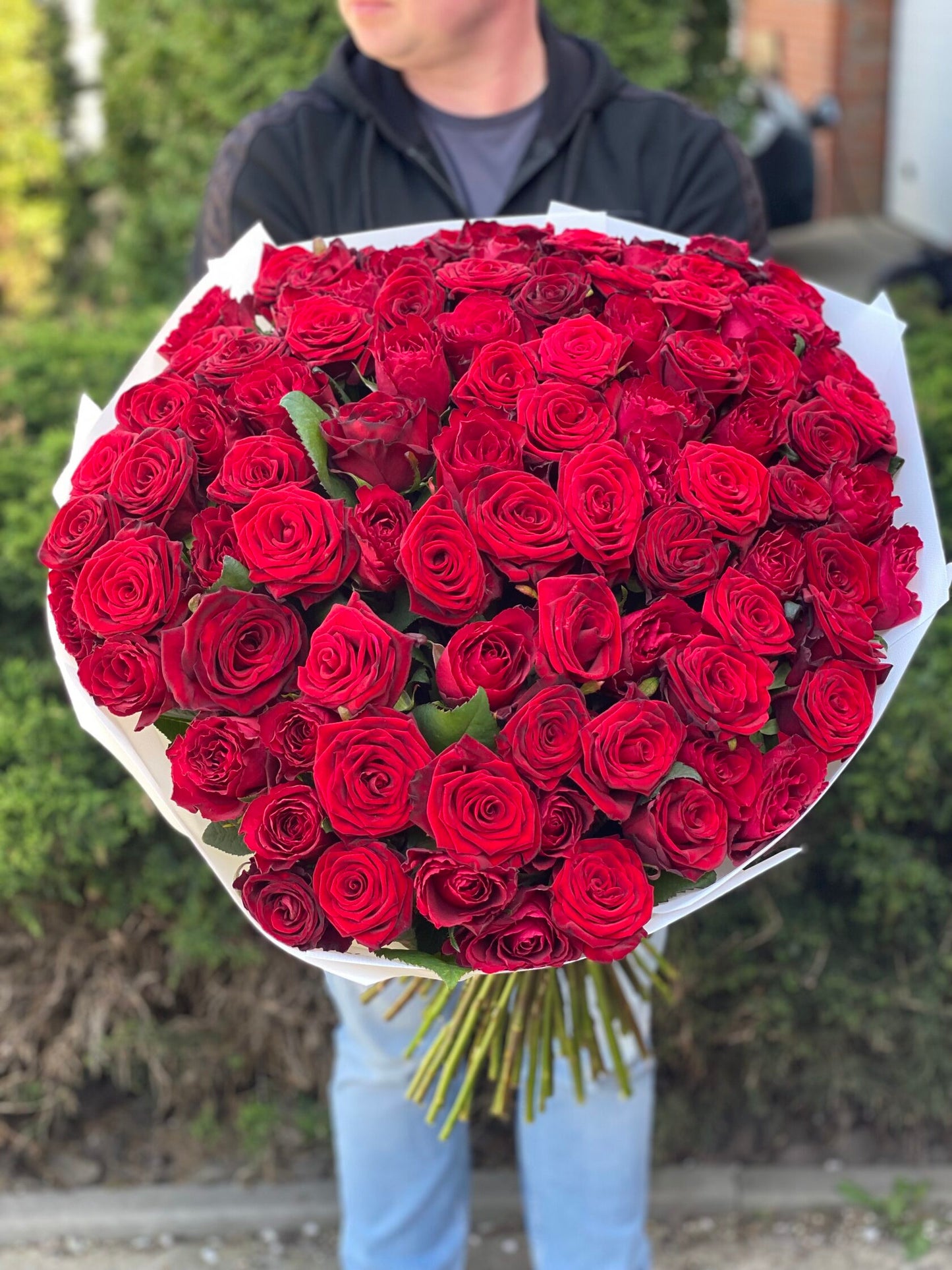 101 Rosen Sorte Grand Prix